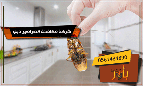 شركة مكافحة الثعابين في دبي
