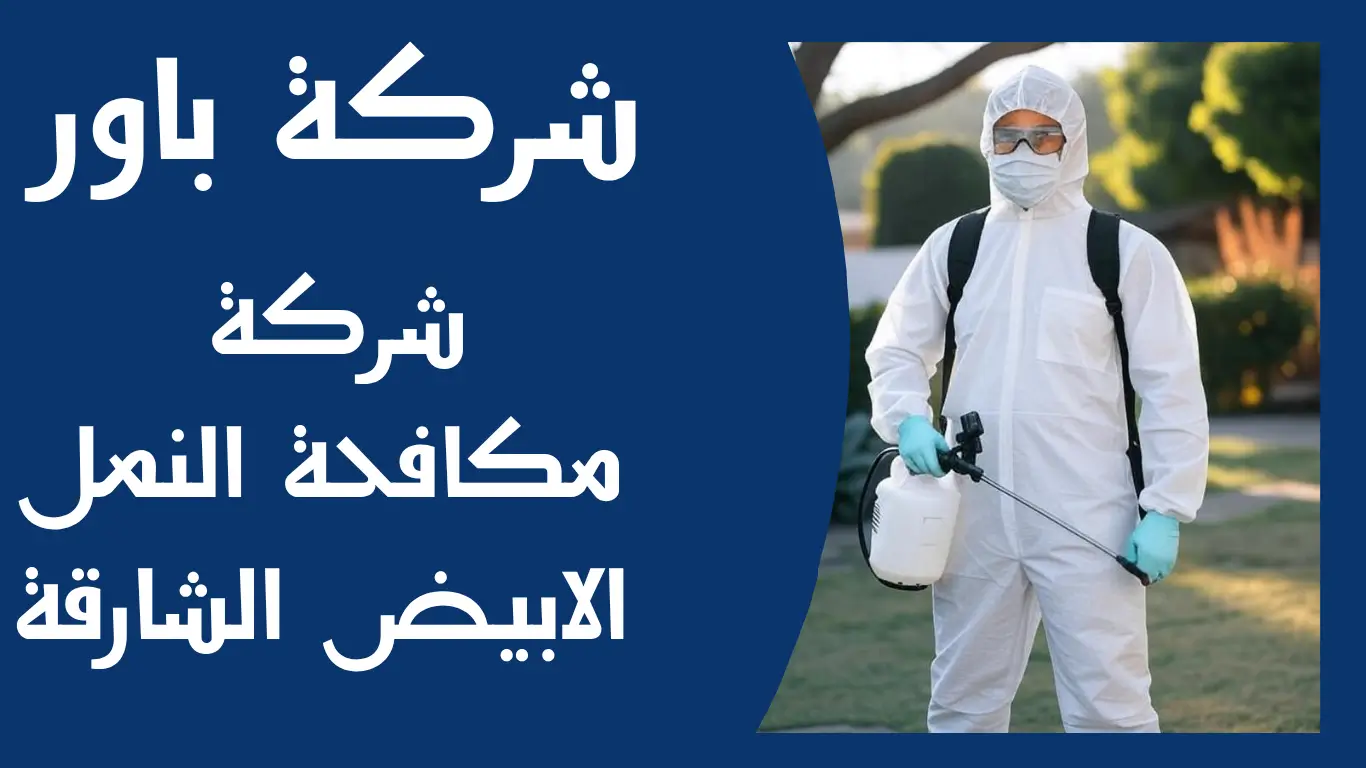 شركة مكافحة النمل الابيض الشارقة 1 شركة مكافحة النمل الابيض الشارقة
