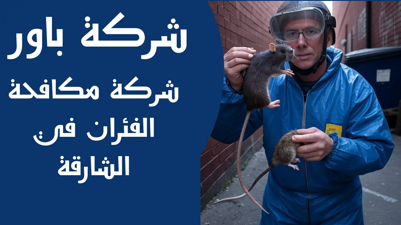 شركة مكافحة الفئران في الشارقة 1 شركة مكافحة الفئران في الشارقة