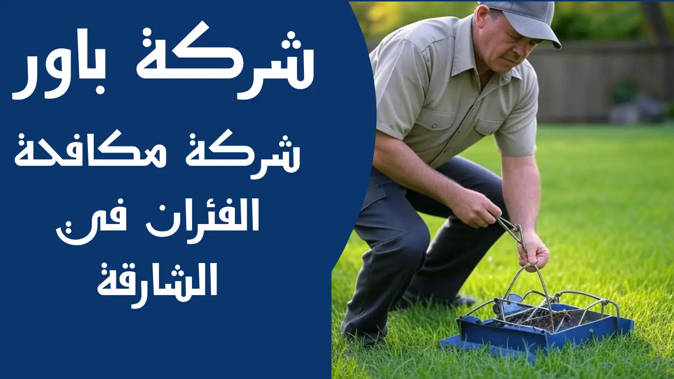 شركة مكافحة الفئران في الشارقة 3 مكافحة الفئران في الشارقة