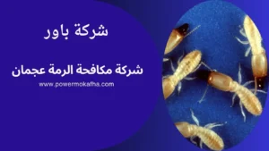 شركة مكافحة الرمة عجمان 2 ابادة افات في عجمان