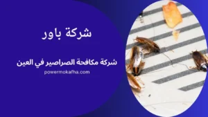 شركة مكافحة الصراصير في العين - 0561484890 2 شركة إبادة الصراصير في العين