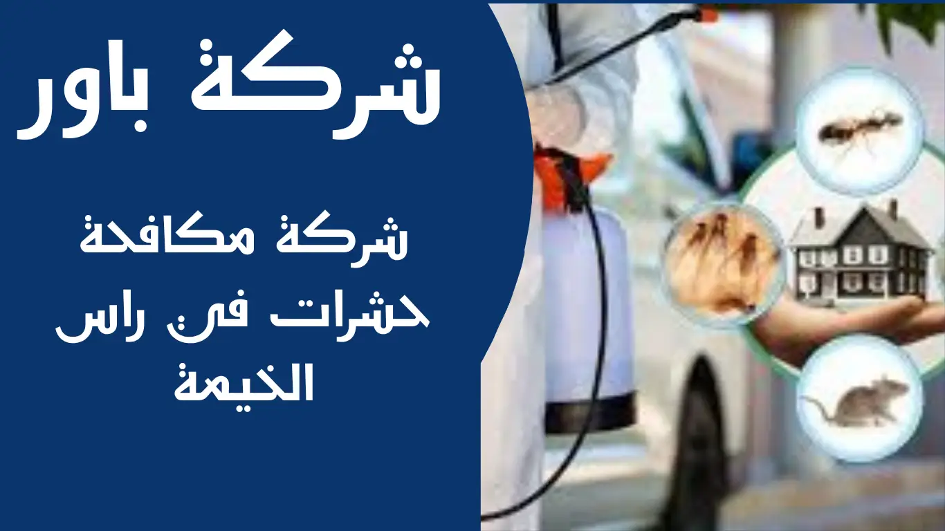شركة مكافحة حشرات في راس الخيمة 1 شركة مكافحة حشرات في راس الخيمة