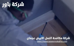 شركة مكافحة النمل الابيض عجمان 4 مكافحة النمل الأبيض للفلل في عجمان