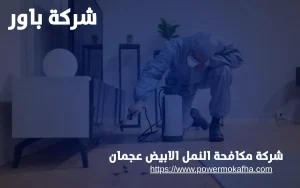 شركة مكافحة النمل الابيض عجمان 3 مكافحة النمل الأبيض بالمبيدات في عجمان