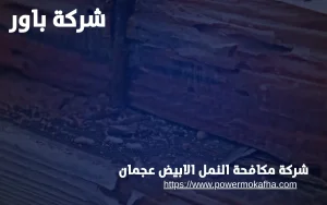 شركة مكافحة النمل الابيض عجمان 2 شركة مكافحة النمل الابيض عجمان