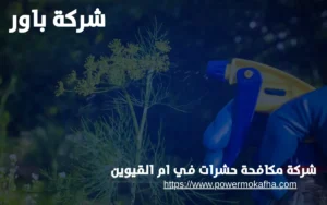 شركة مكافحة حشرات في ام القيوين 5 شركة مكافحة حشرات في ام القيوين