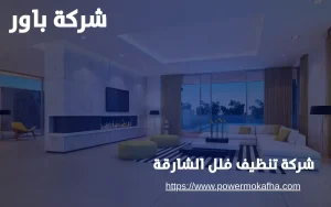 شركة تنظيف فلل الشارقة 6 تنظيف فلل ضد البكتيريا الشارقة