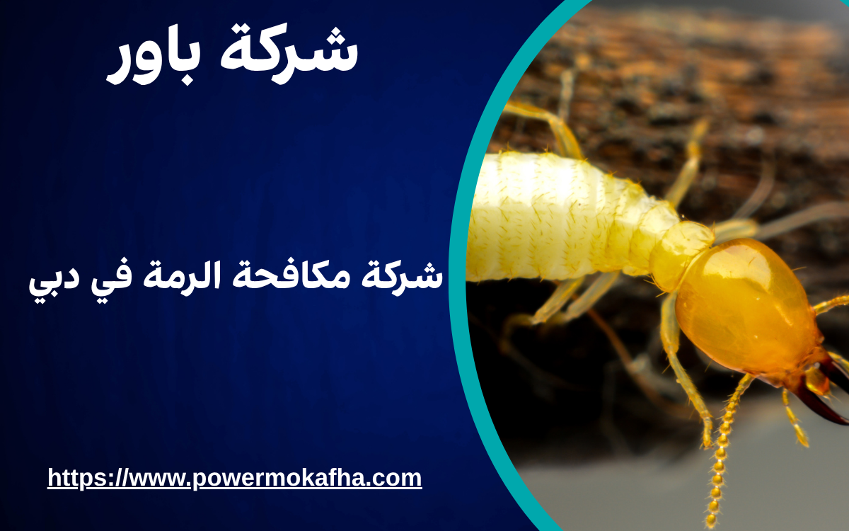 شركة مكافحة الرمة في دبي 1 شركة مكافحة الرمة في دبي