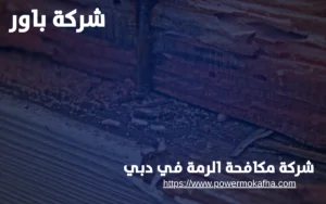 شركة مكافحة الرمة في دبي 4 طرق مكافحة الرمة المعتمدة في دبي
