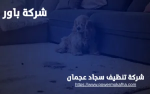 شركة تنظيف سجاد عجمان 2 شركة تنظيف سجاد عجمان