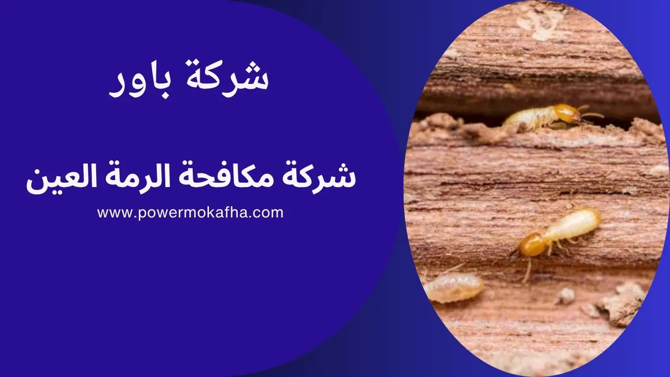 شركة مكافحة الرمة العين 1 شركة مكافحة الرمة العين