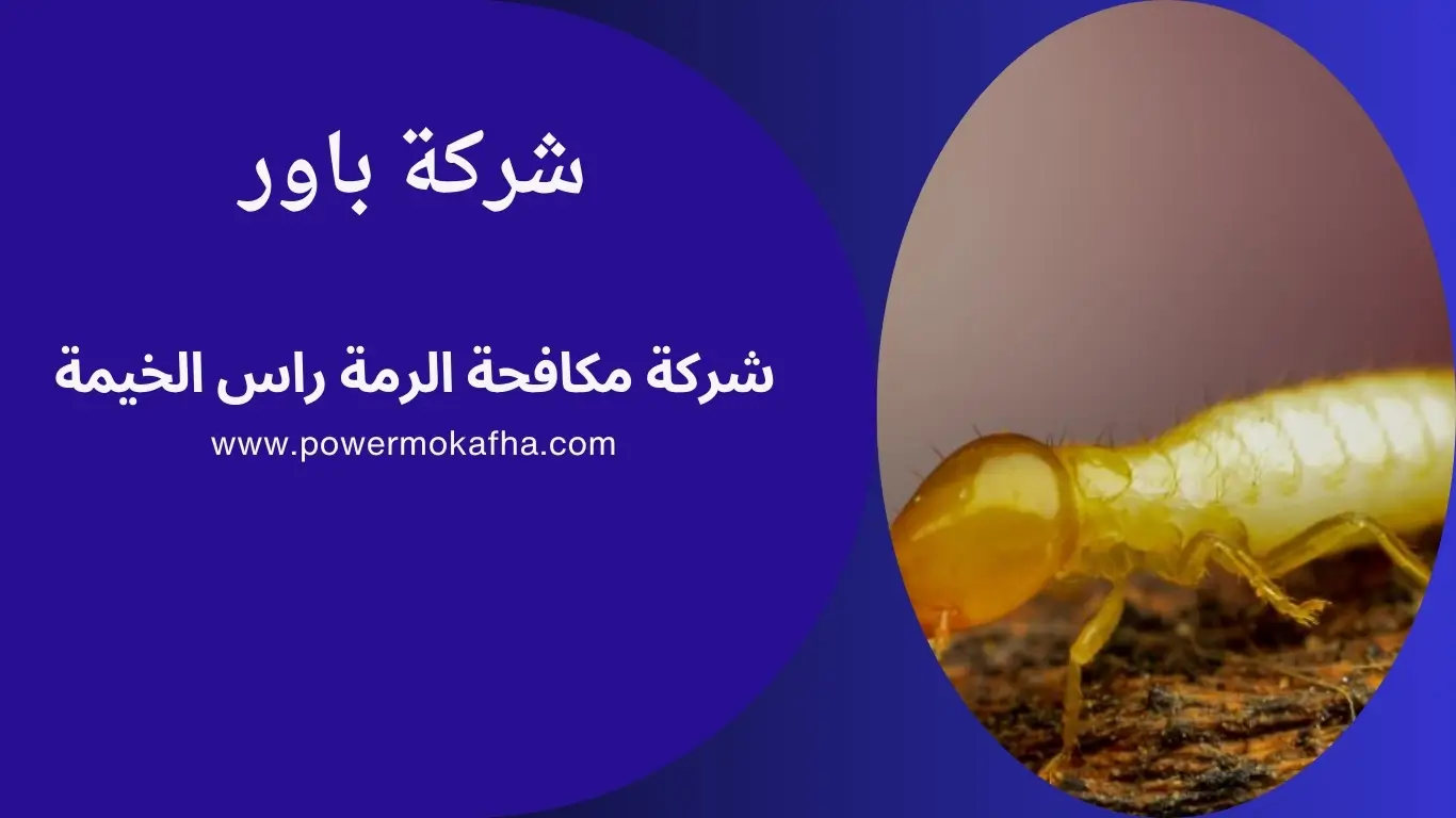 شركة مكافحة الرمة راس الخيمة 1 شركة مكافحة الرمة راس الخيمة