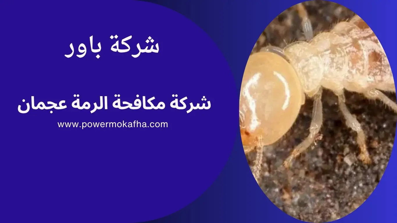 شركة مكافحة الرمة عجمان 1 شركة مكافحة الرمة عجمان