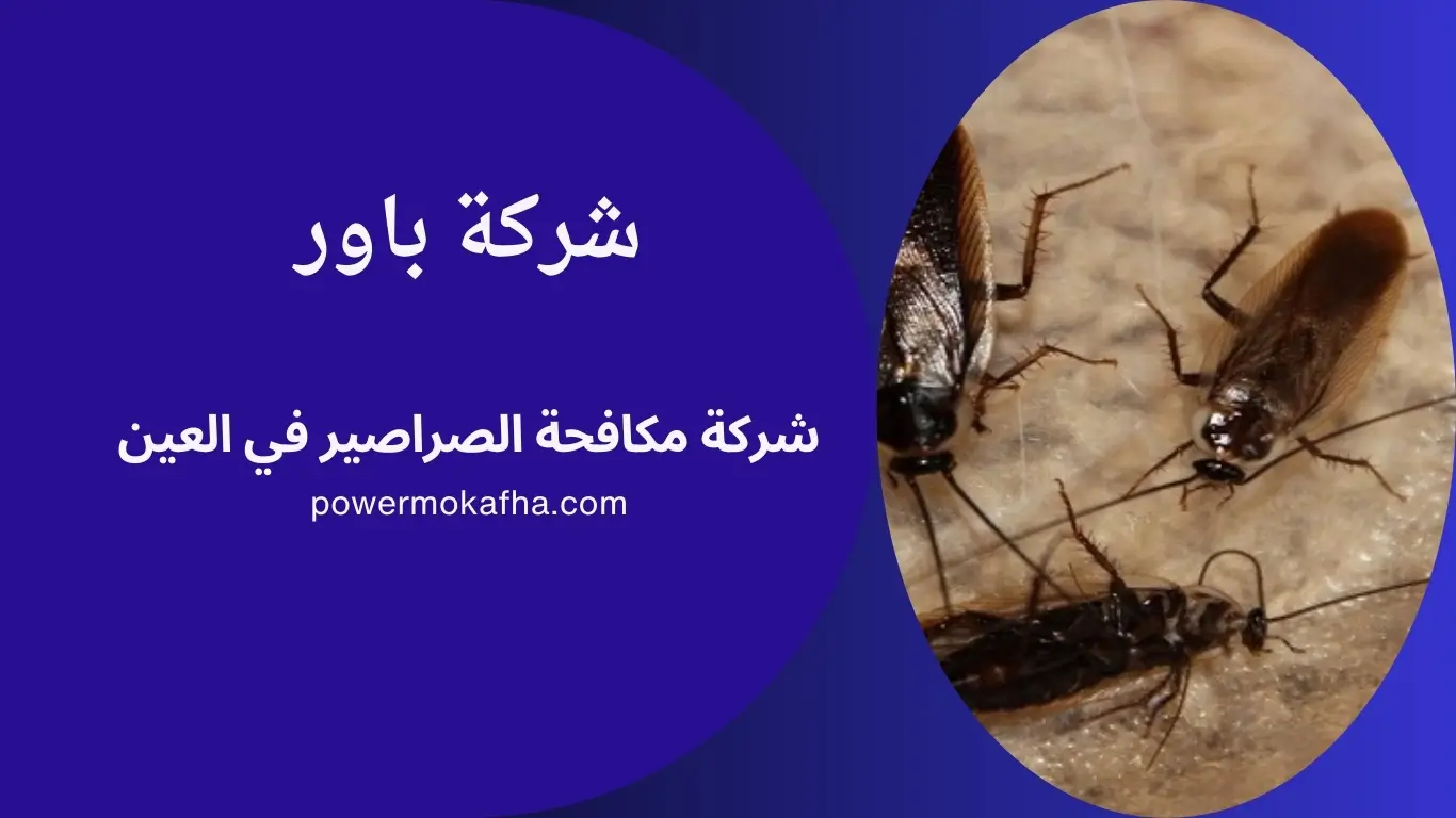 شركة مكافحة الصراصير في العين - 0561484890 1 شركة مكافحة الصراصير في العين