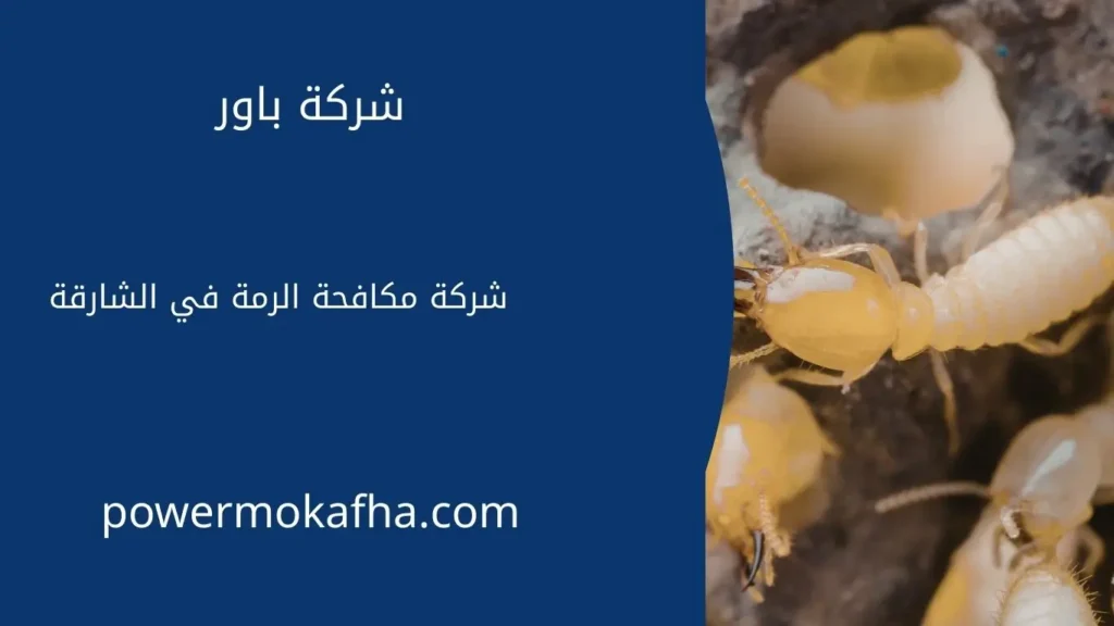 شركة مكافحة الرمة الشارقة