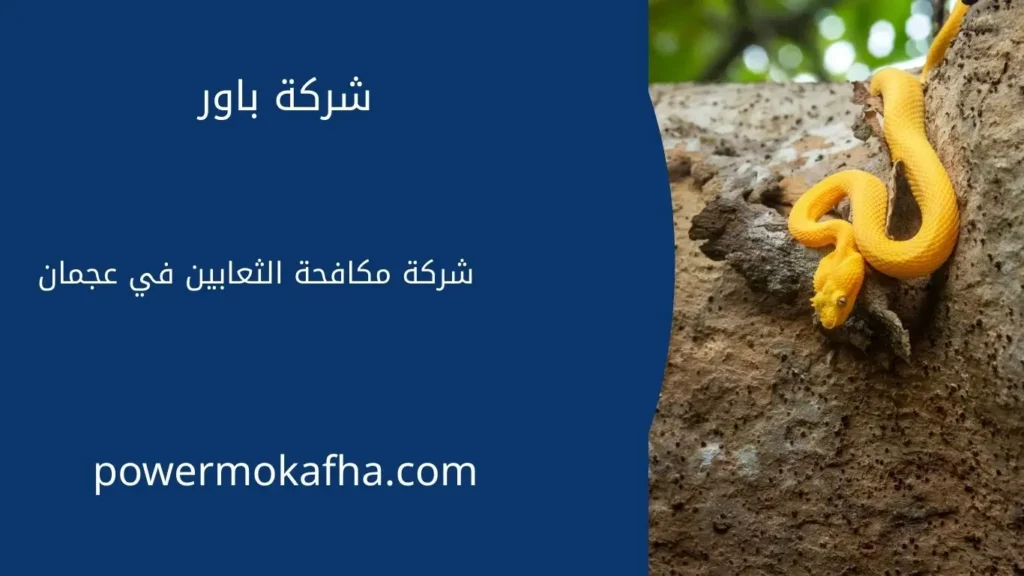 مكافحة الأفاعي والثعابين في عجمان