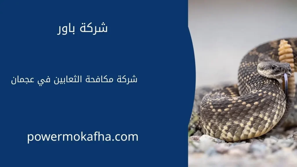 مكافحة الثعابين في عجمان