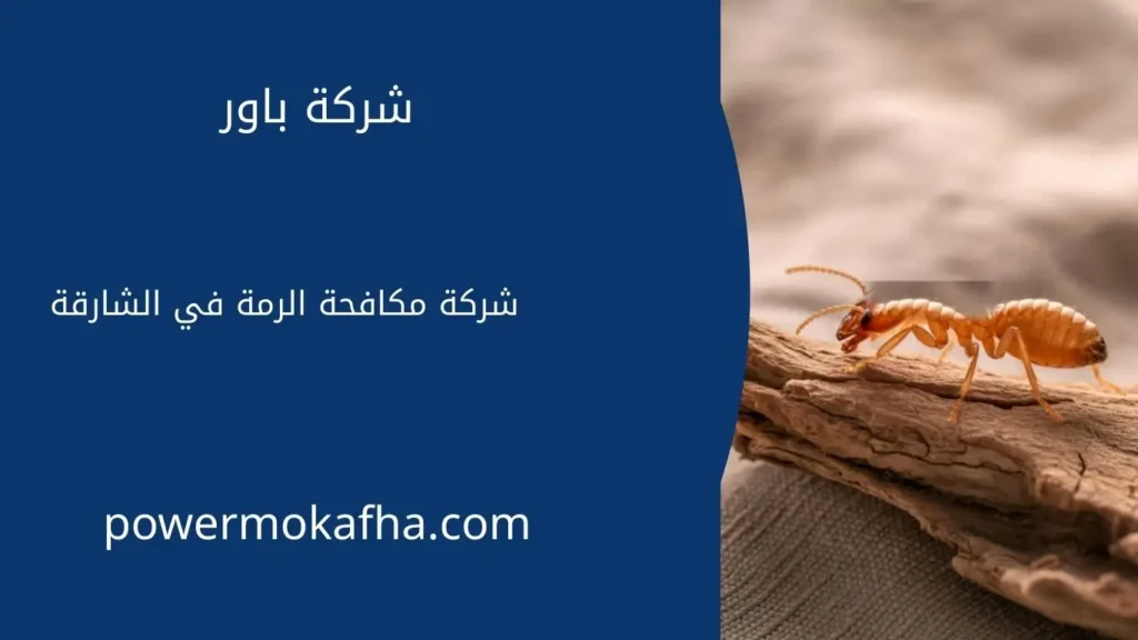 مكافحة النمل الابيض في الشارقة